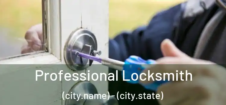  Professional Locksmith (city.name) - (city.state)